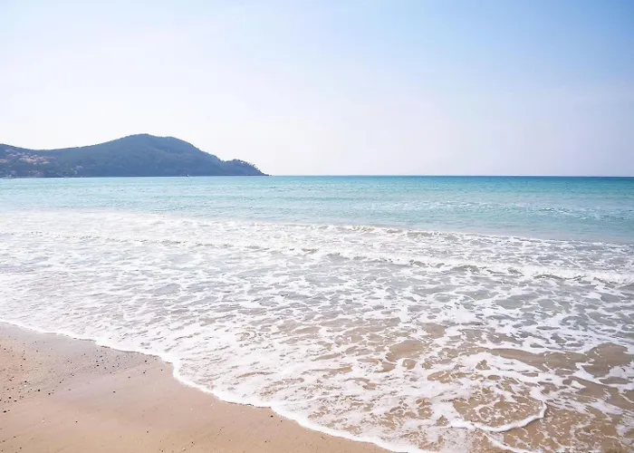 3 Min A Pieds & 200 M De La Grande Plage Des Lecques - Terrasse Et Jardin - Fabuleux T2 - Carre D\'Or