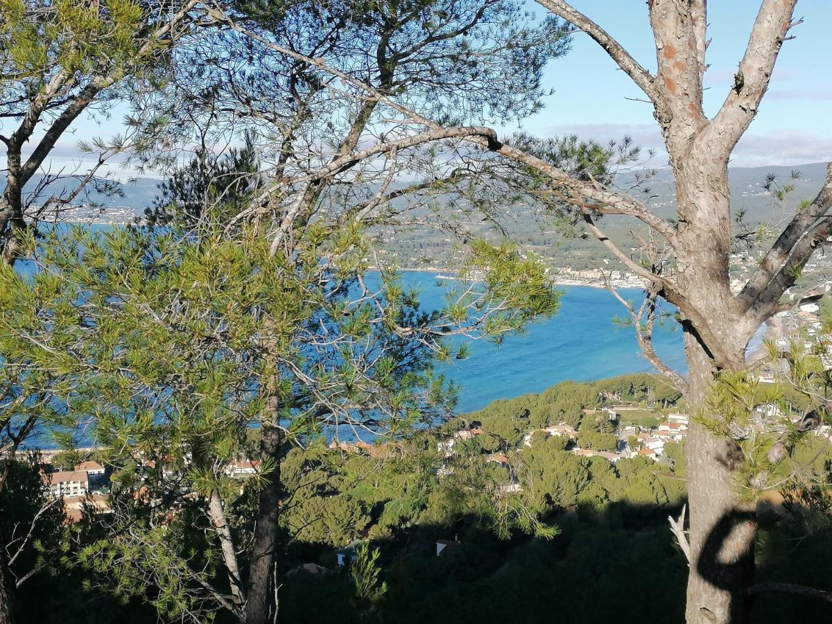 3 Min A Pieds & 200 M De La Grande Des Lecques - Terrasse Et Jardin - Fabuleux T2 - Carre D'or